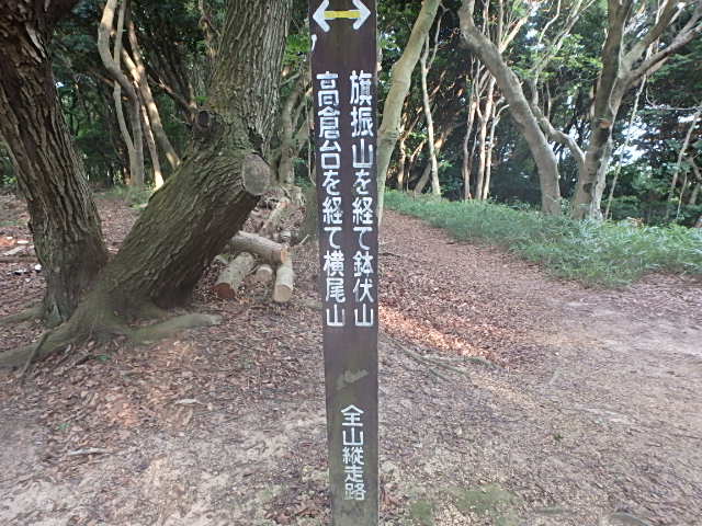 f0334143_643129.jpg