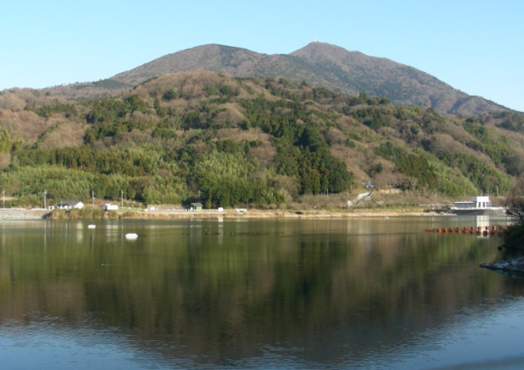 a0237545_10561096.png