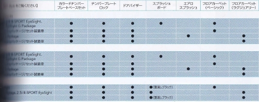 スバル　ベースキットについて２_e0359349_22124592.jpg