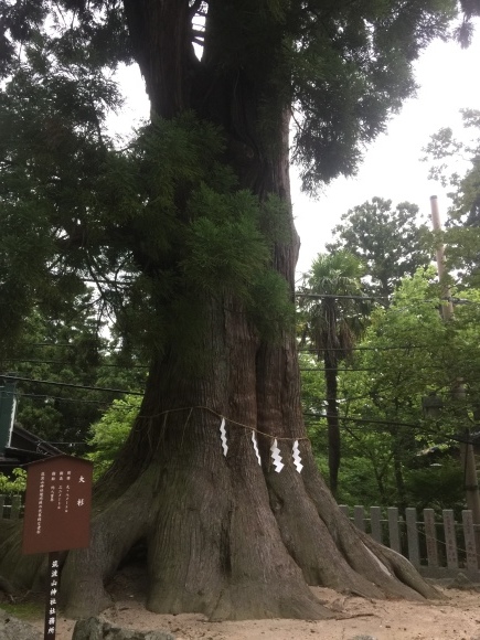 筑波山に登拝_d0082655_16374117.jpg