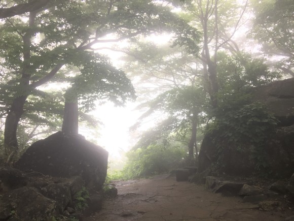 筑波山に登拝_d0082655_16395204.jpg