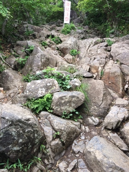 筑波山に登拝_d0082655_17162199.jpg
