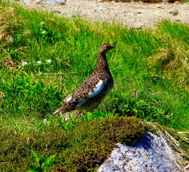 a0248459_14204205.jpg