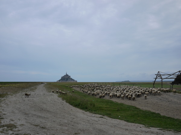 b0134961_22350939.jpg