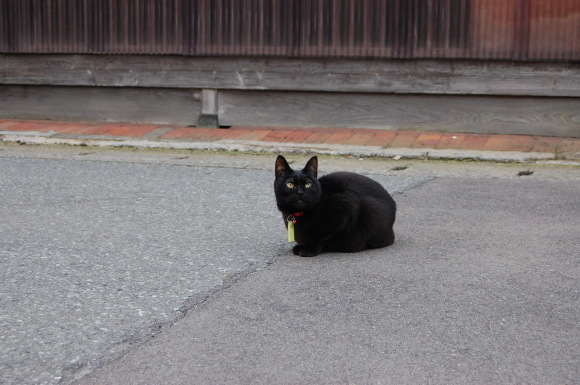 京都パンパン赤線時代 七_f0347663_14015018.jpg