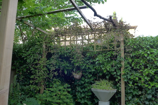 c0197980_02551126.jpg