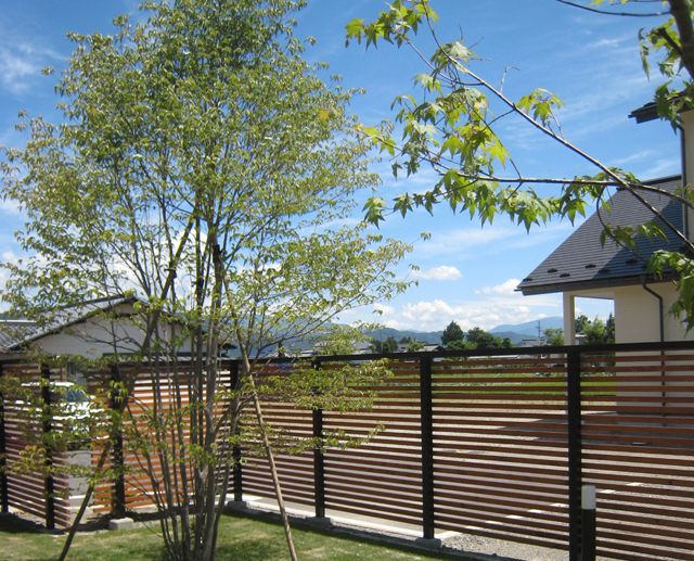 「神田町の家」庭完成で暑気払い_f0210085_14143721.jpg