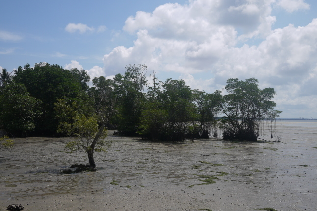 b0183295_15525797.jpg