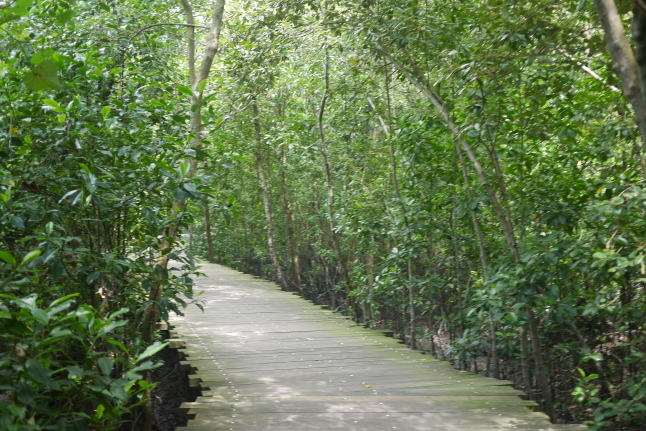 b0183295_15544246.jpg