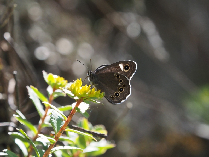 a0277496_21304283.jpg