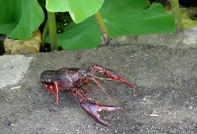 a0339396_22023749.jpg