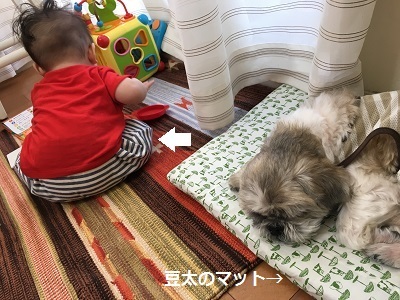 ベビーのパンツと王子の寝場所。_f0372998_22503596.jpg