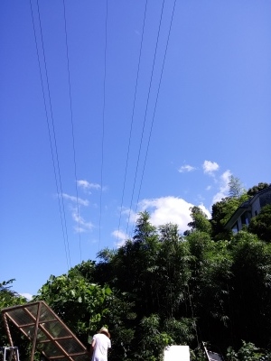 f0214600_23342940.jpg
