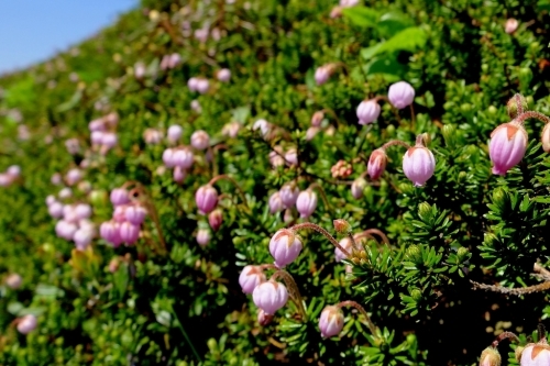 e0304001_08022740.jpg