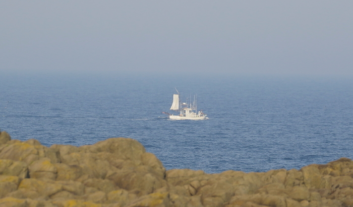 春の舳倉島探鳥総括_c0319902_07305538.jpg