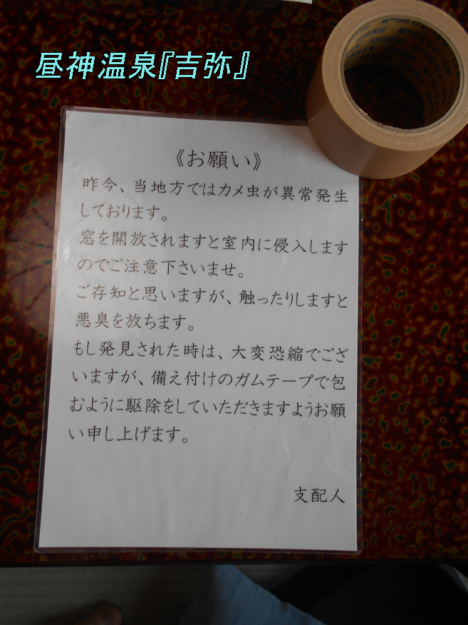コガネムシは金持ちだぁ みつい 禮の演歌部屋