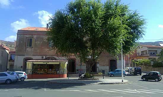 c0009413_23074386.jpg