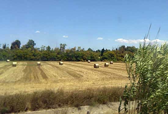 c0009413_23084327.jpg