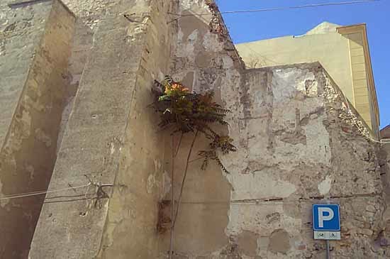 c0009413_23173594.jpg