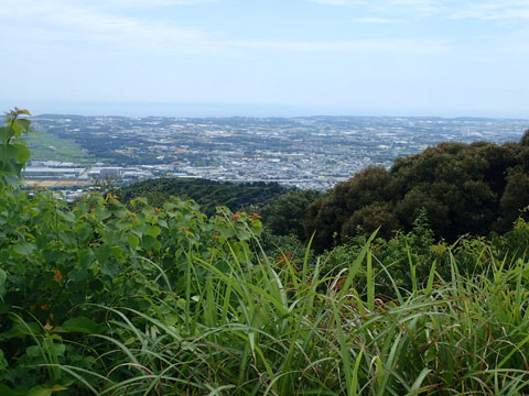 葦毛湿原から座談山_e0293913_23594347.jpg