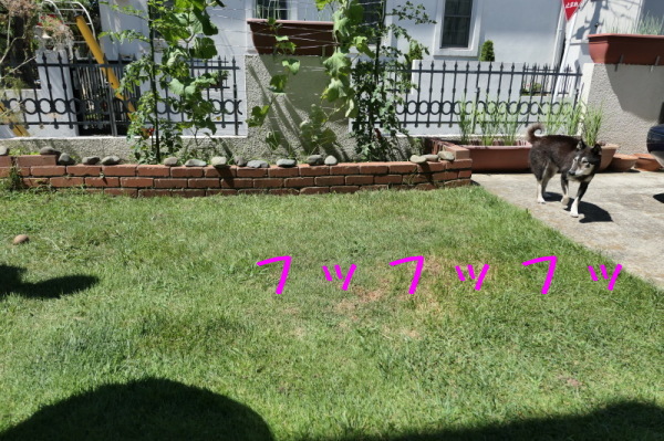 f0369014_09542953.jpg