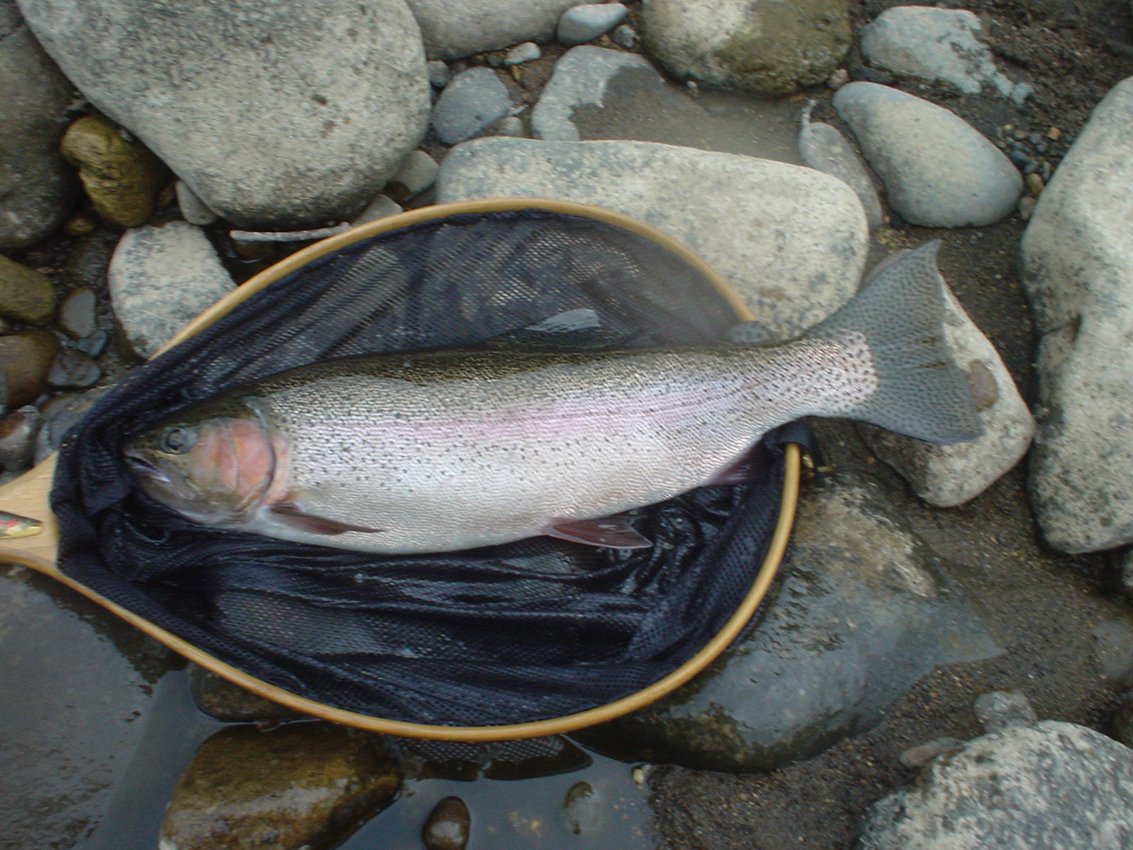 f0280717_10322498.jpg