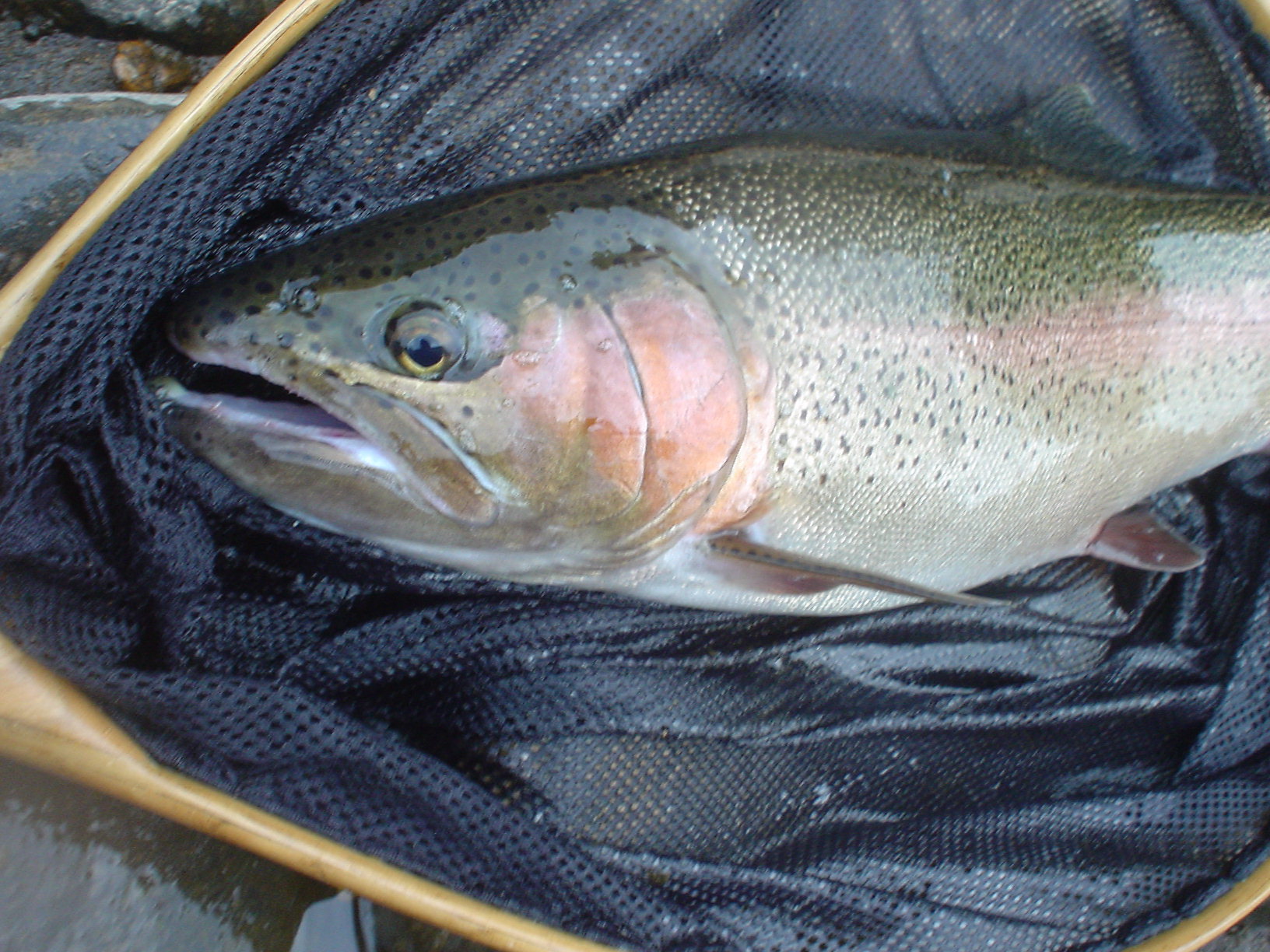 f0280717_10342193.jpg