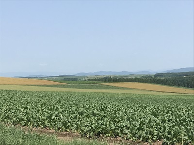 c0227720_23502795.jpg