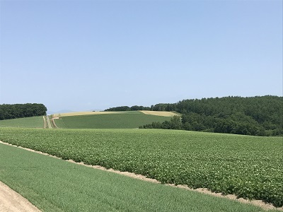 c0227720_23524939.jpg
