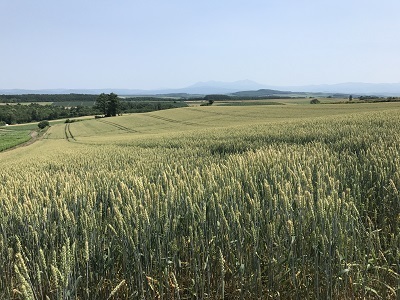 c0227720_23552250.jpg
