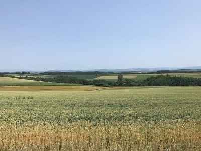 c0227720_23552915.jpg