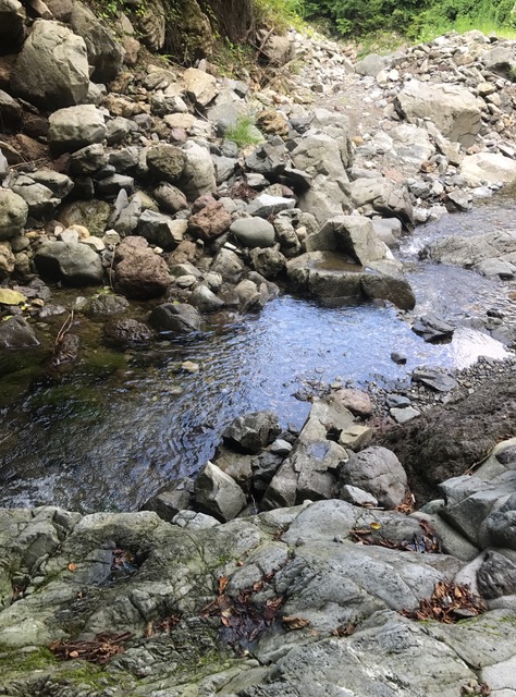 天川村 ロードバイクに最高＼(^o^)／_c0188525_172951.jpg