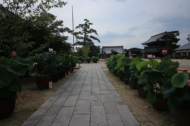 e0321325_15341344.jpg