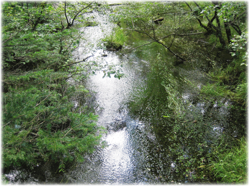 c0107829_07552207.gif