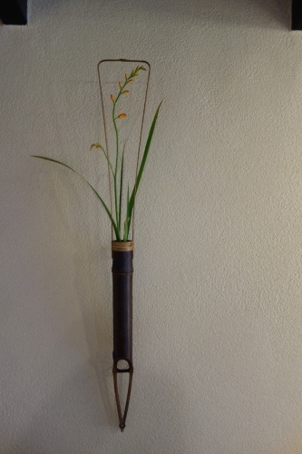 夏の花_a0197730_13250205.jpg