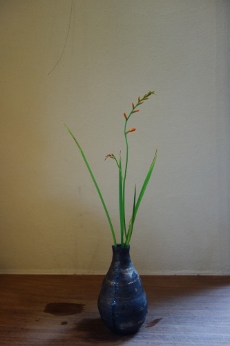 夏の花_a0197730_13253764.jpg