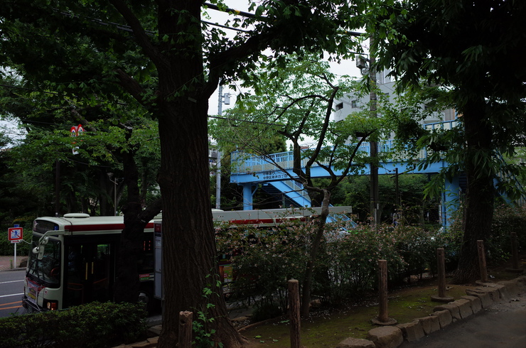 a0287336_17152739.jpg