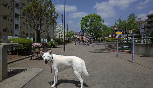 a0117039_23302940.jpg