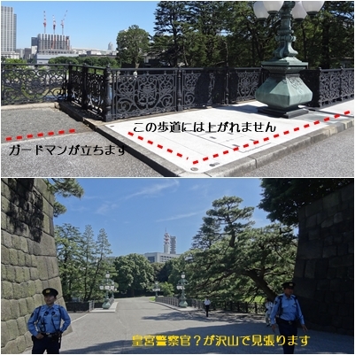 東京旅行一日目　皇居見学　＆　東御苑_a0084343_09570004.jpg