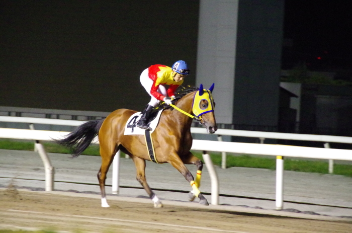 クイーンオブスカイ 16戦目＠船橋競馬場　12R　2017.7.21_b0368243_22154724.jpg