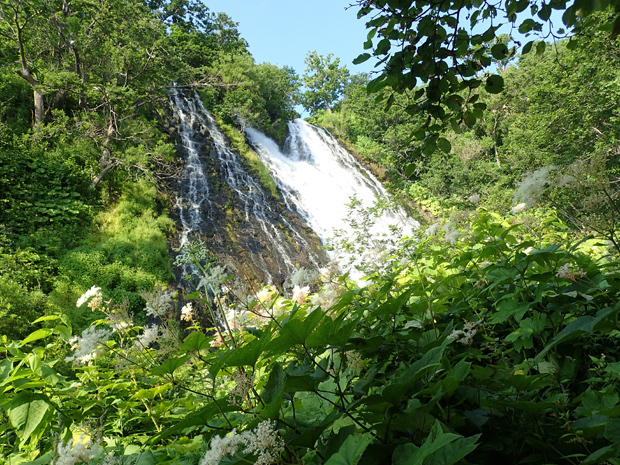 f0214649_05265739.jpg