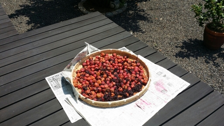 f0046854_21455747.jpg