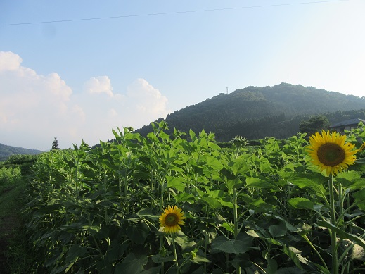 f0113862_1850972.jpg