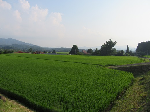 f0113862_1902717.jpg