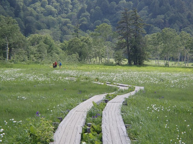 2017.7.17～19 尾瀬・至仏３日間の山旅（一日目）_a0344771_06254210.jpg