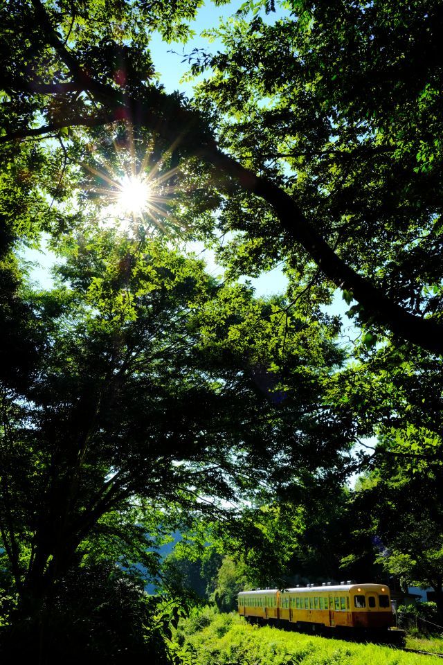 夏の陽射し受けて～上総大久保 ① 小湊鐵道_e0359873_09000031.jpg