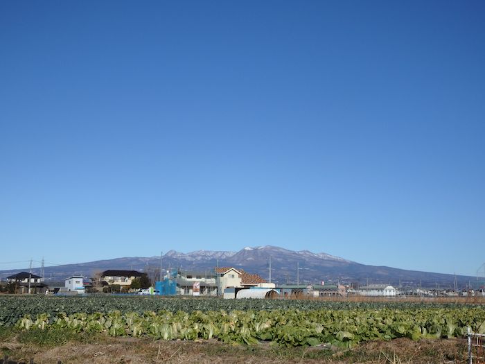 『上野国史跡めぐり／山王廃寺跡、総社古墳群／高崎から前橋市総社町へ』 sh-2 _f0339895_18245084.jpg