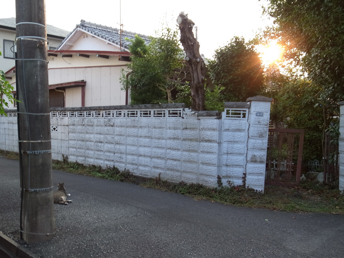 c0049299_22261757.jpg