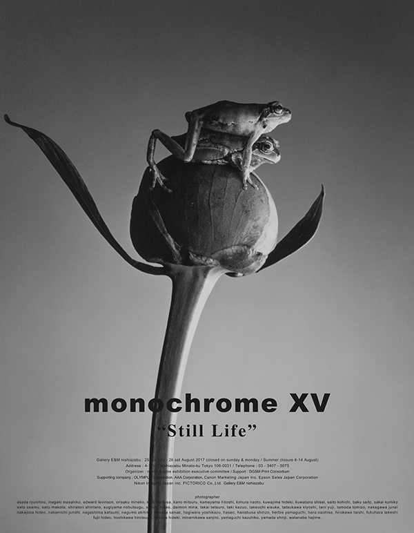 monochrome XV “Still Life” 5日目、第１週目が終了、明後日から第２週目が始まります。それにしても今日は超忙しかったです！_b0194208_23305114.jpg