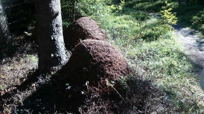 c0301809_08144834.jpg